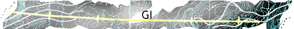 GI