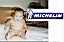 Michelin.gif