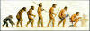 evolution800x281.jpg (37771 octets)